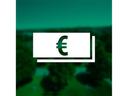 White icon with banknotes and euro symbols on a green background.